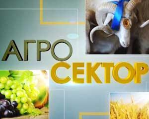 agro sector HR 26 01